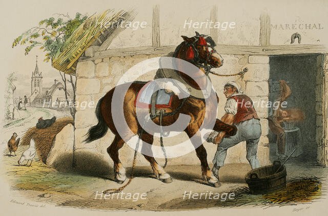 The draft horse, 1856. Creator: Edouard Travies.