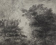 Stags, original impression 1862, printed in 1921. Creator: Charles François Daubigny (French, 1817-1878).