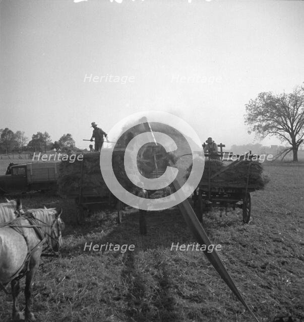 The threshing of oats, Clayton, Indiana, south of Indianapolis, 1936 Creator: Dorothea Lange.