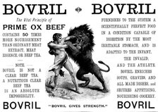 Advertisement for Bovril, 1895. Creator: Unknown.