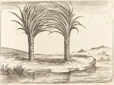 Two Palm Trees. Creator: Jacques Callot.