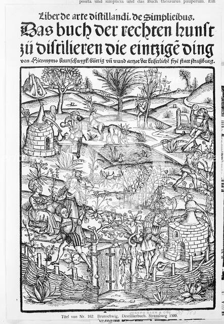 Medicinarius. Das buch der Gesundheit. Liber de arte distillandi Simplicia et Composita, 1505. Creator: Johann Gruninger.