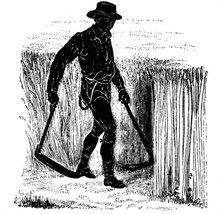 Crop rotation: reaping with a Hainault Scythe, 1855. Artist: Unknown