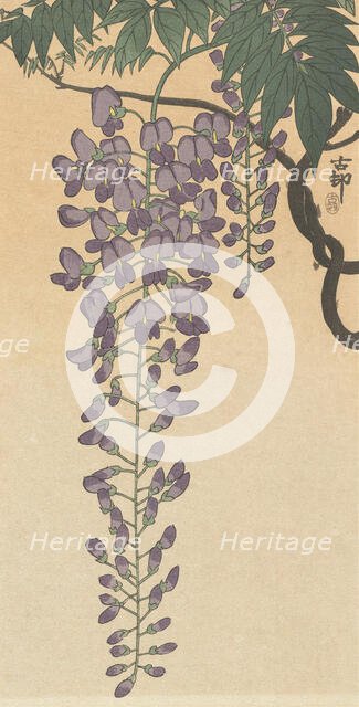 Flowering wisteria. Creator: Ohara, Koson (1877-1945).