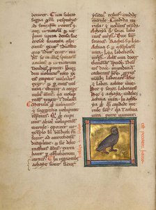 An Eagle Owl; Bestiary, about 1270. Creator: Unknown.