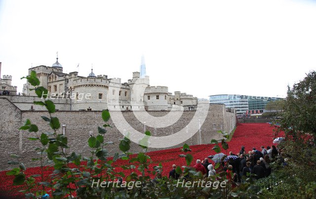 'Blood Swept Lands and Seas of Red', Tower of London, 2014.  Artist: Sheldon Marshall