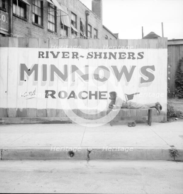 Coon dawgling, Memphis, Tennessee, 1936. Creator: Dorothea Lange.