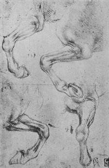 'Four Studies of Horses' Legs', c1480 (1945). Artist: Leonardo da Vinci.