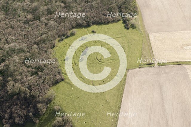 Iron Age and Romano British settlement remains, Cranborne Chase, Wiltshire, 2016. Creator: Damian Grady.