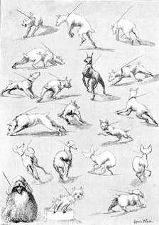 Nature's Fitful Moments: sketches at the Kennel Club Dog Show, 1890. Creator: Carl Hentschel.