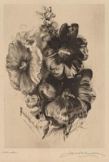 Dark Single Hollyhocks, 1890. Creator: James David Smillie.