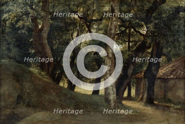'Forest of the Villa Borghese', late 18th/early 19th century. Artist: Pierre Henri de Valenciennes