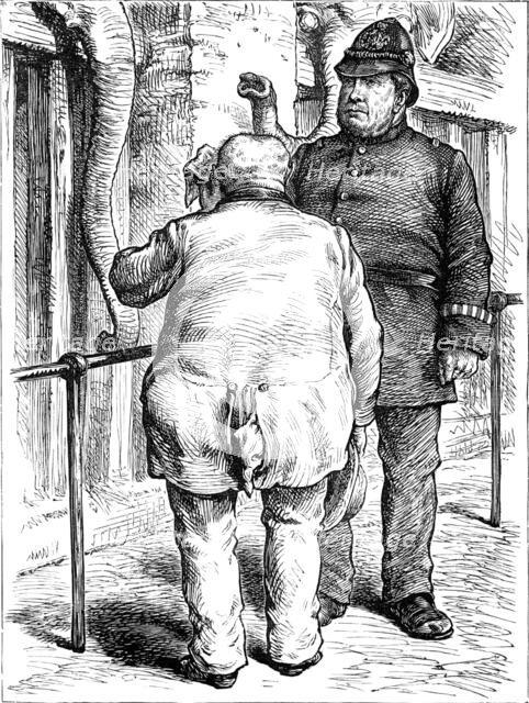 Odd sketches at the Zoological Society's Gardens: pachydermatous or thick-skinned animals, 1880. Creator: Unknown.