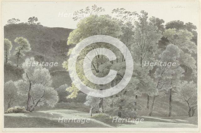 Trees in the Subiaco area, 1778-1847. Creator: Josephus Augustus Knip.