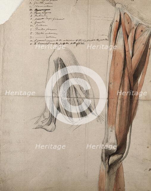 The muscles and tendons of the leg: two figures, including a black chalk sketch of a leg..., 1815. Creator: Charles Landseer.