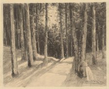 Forest, 1901-1937. Creator: Ludovit Cordak.