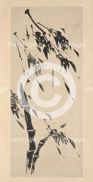 Bamboo in the Wind. Creator: Taiho Shoko.