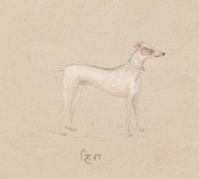 Dog, 1800s. Creator: Unknown.