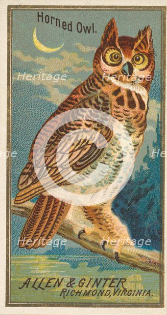 Horned Owl, from the Birds of America series (N4) for Allen & Ginter Cigarettes Brands, 1888. Creator: Allen & Ginter.