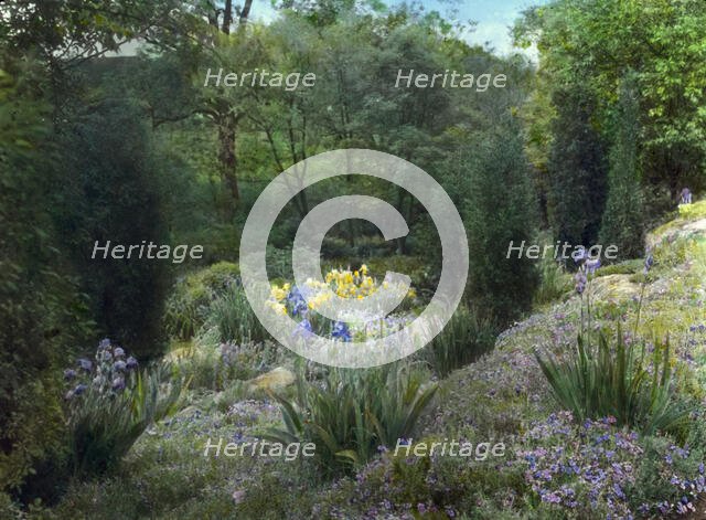 Graham Nichols house, Greenwich, Connecticut, c1917 or 1918. Creator: Frances Benjamin Johnston.