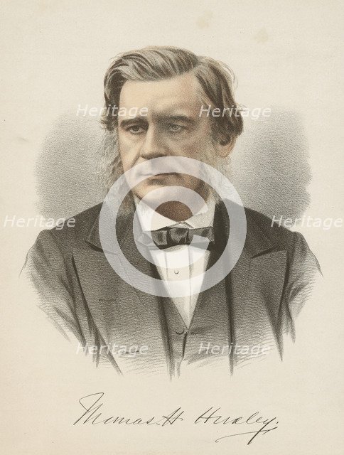 Thomas Henry Huxley, English biologist, c1880. Artist: Unknown