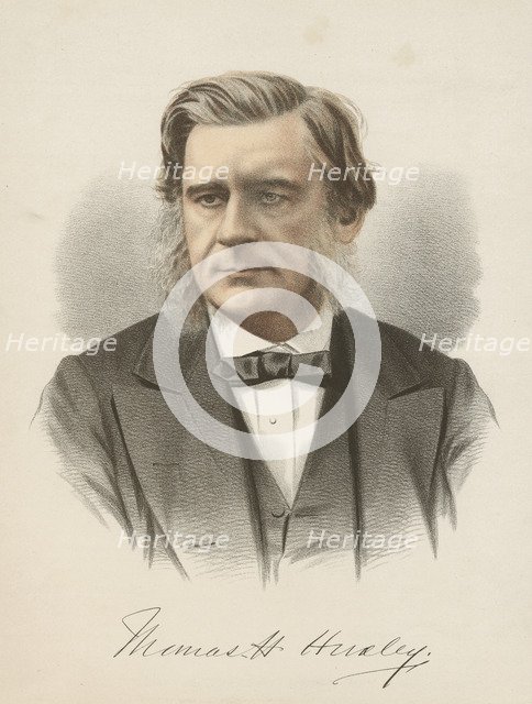 Thomas Henry Huxley, English biologist, c1880. Artist: Unknown
