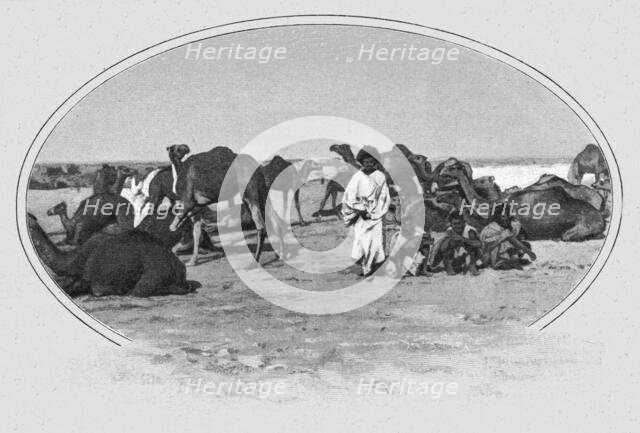 ''Maures nomades et leurs chameaux; L'Ouest Africain', 1914. Creator: Unknown.