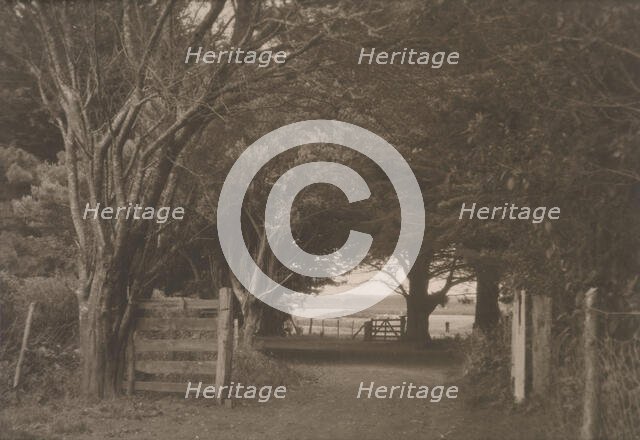 On a farm Hawera, Taranaki, N. Z., 1920s. Creator: Eunice Harriett Garlick.