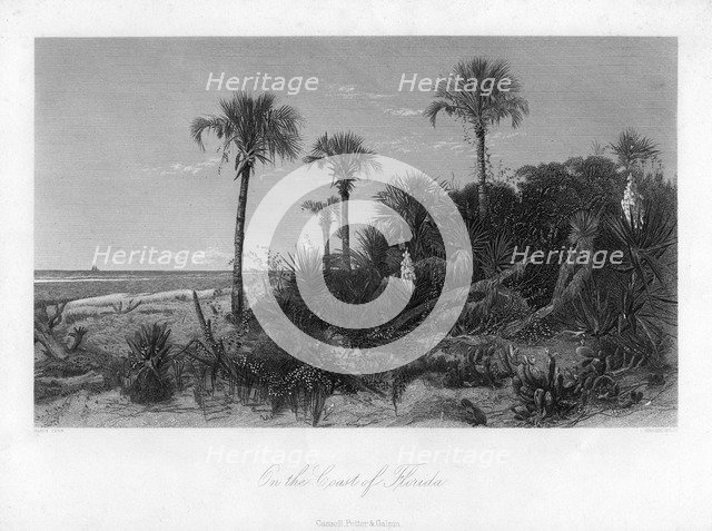 On the coast of Florida. Artist: R Hinshelwood