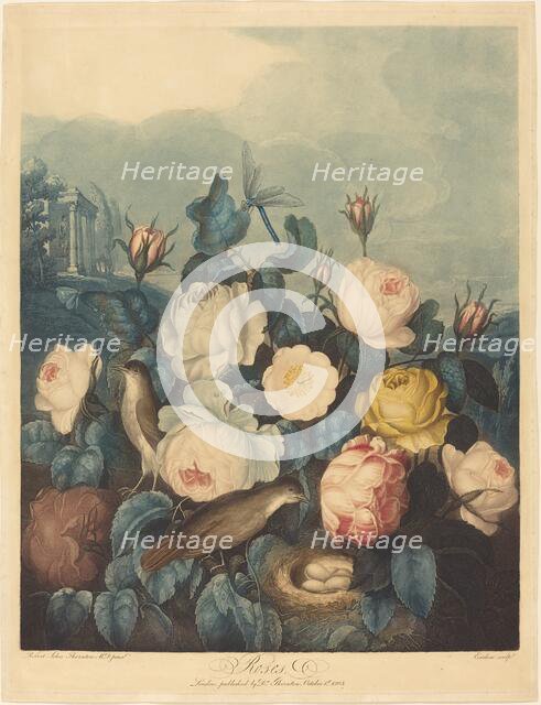 Roses, 1805. Creator: Richard Earlom.