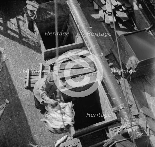 Possibly: Unloading fish from the hold of a New England fishing boat at the..., New York, 1943. Creator: Gordon Parks.
