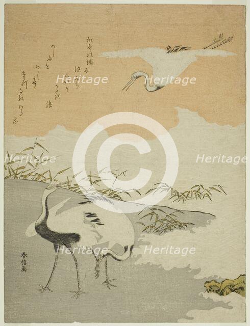 Cranes at the Sea Shore, c. 1768. Creator: Suzuki Harunobu.