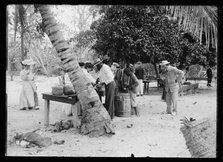Tourists buying coconuts and fruit from vendor, probably Nassau, Bahamas, between 1900 and 1915. Creator: Unknown.