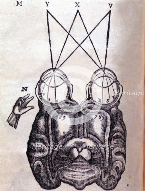 Schematic drawing on the functioning of the brain and human ocular system, engraving published in…