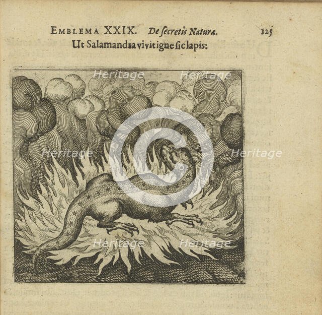 Emblem 29. As the salamander lives in fire, so does the stone, 1618. Creator: Merian, Matthäus, the Elder (1593-1650).