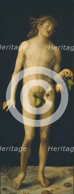 Adam, 1507. Artist: Dürer, Albrecht (1471-1528)