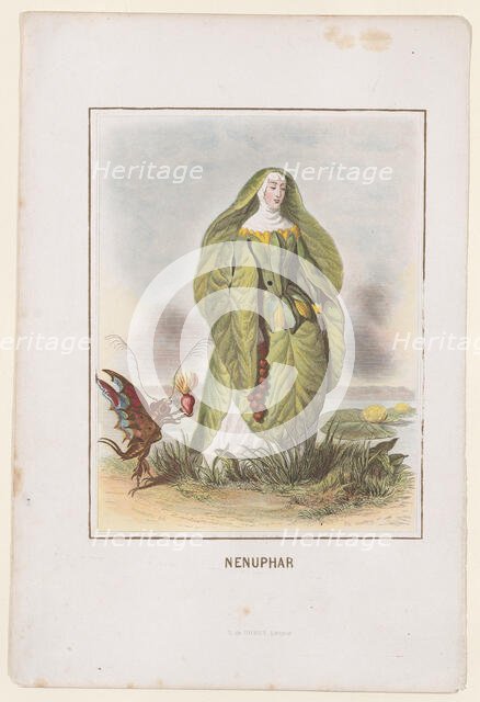 Nenuphar, from Les Fleurs Animées, 1847. Creator: Charles-Michel Geoffroy.