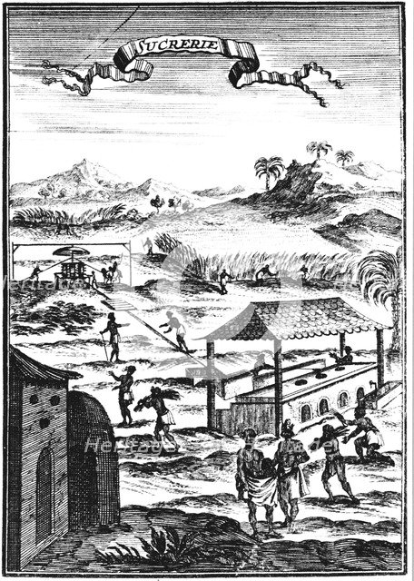 Sugar factory and plantation in the West Indies, 1686. Artist: Allain Manesson Mallet
