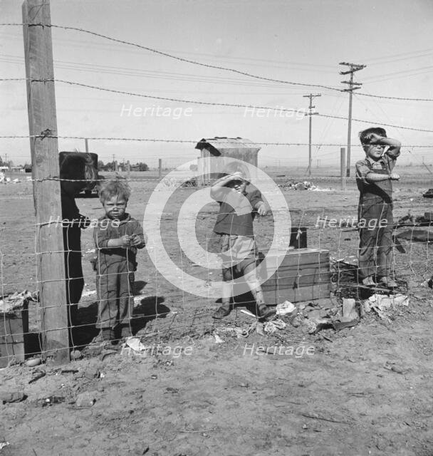 Living conditions for migratory children...during pea harvest, Outskirts of Calipatria, CA, 1939. Creator: Dorothea Lange.