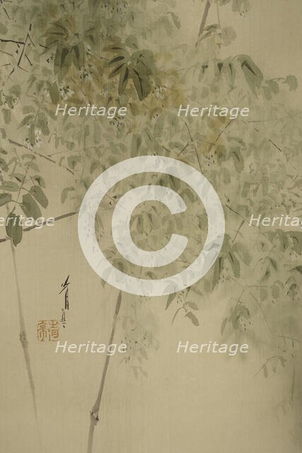 The Twelve Months: Fourth Month, between 1900 and 1918. Creator: Watanabe Seitei.