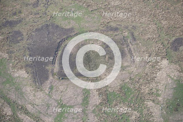 An enclosed settlement, or homestead, earthwork on Ray Fell, Northumberland, 2016. Creator: Dave MacLeod.