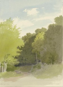 Parapet on a country road, 1864. Creator: Carl Theodor Reiffenstein.