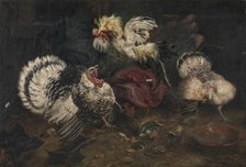 Fighting Cocks, 1902. Creator: Piet van Engelen.