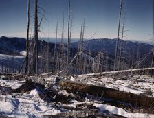 Sangre de Cristo Mt., New Mexico, 1943. Creator: John Collier.