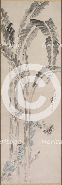 Banana Plant and Chrysanthemum (?), 19th century. Creator: Tsubaki Chinzan (Japanese, 1801-1854).