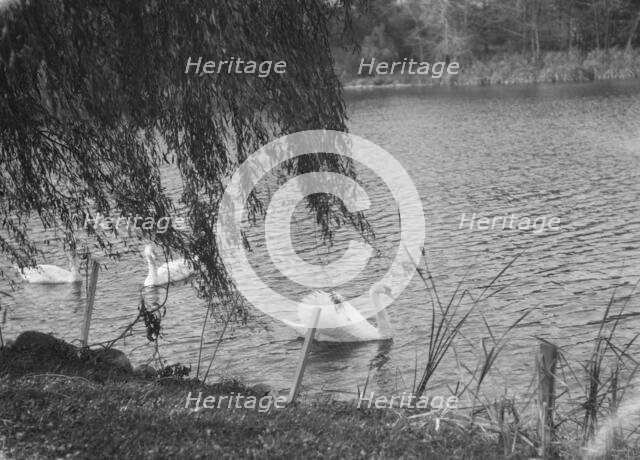 Taylor, Myron C., Mr., residence and grounds, Locust Valley, Long Island, New York, 1928 Nov. Creator: Arnold Genthe.