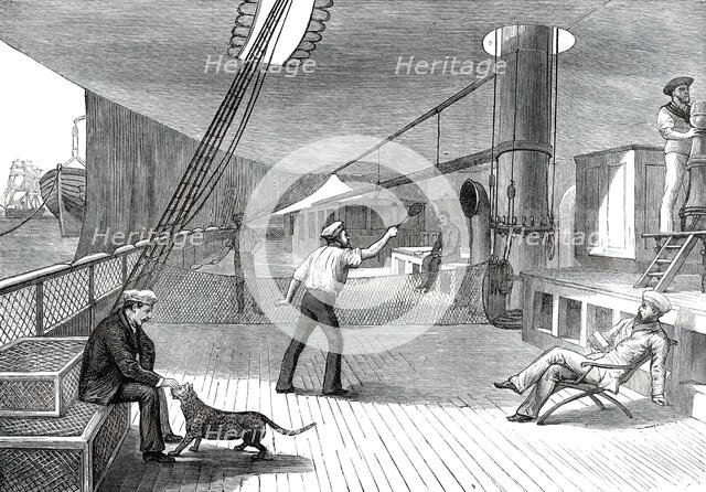 The Prince's Voyage Home from India: life on board the Serapis: lawn tennis...1876. Creator: Unknown.