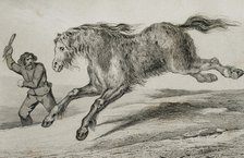 Siberian horse with winter coat, 1839. Creator: Augustin François Lemaitre.