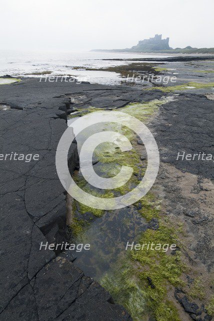 Bamburgh Castle, 2006. Creator: Ethel Davies.