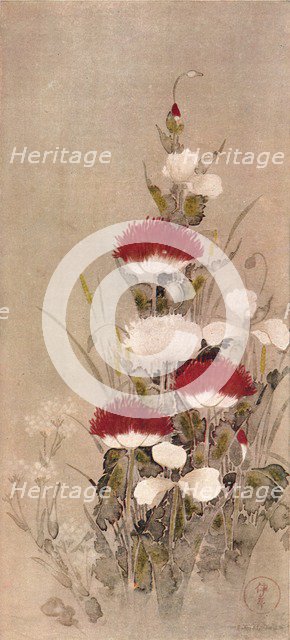 'Poppies, Wheat, and Natane Flowers', 17th century. Artist: Sôtatsu.